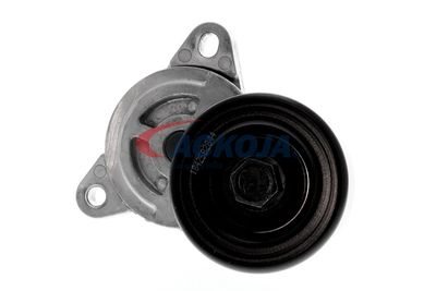 INTINZATOR CUREA CUREA DISTRIBUTIE ACKOJA A520078 49