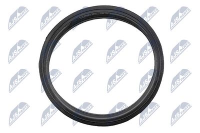 GARNITURA POMPA COMBUSTIBIL NTY BPPWW007 2