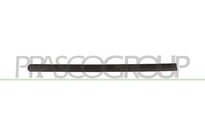 ELEMENTE DECORATIVE/PROTECTIE PORTIERA PRASCO VG9041453