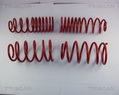 TRISCAN 8755 29019 Пружина подвески для VW JETTA II (19E, 1G2, 165) 1.8 16V TRISCAN 8755 29019 Пружина подвески для VW JETTA II (19E, 1G2, 165) 1.8 16V