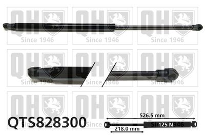 Газовая пружина, заднее стекло QUINTON HAZELL QTS828300 для CITROËN C4