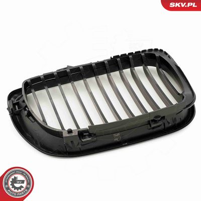 GRILA RADIATOR ESEN SKV 66SKV077 5