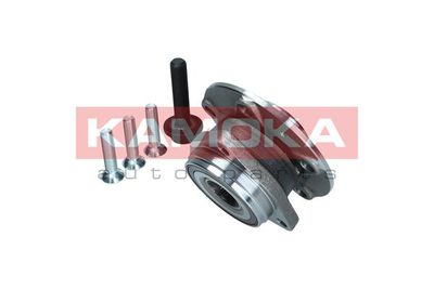 Wheel Bearing Kit 5500171