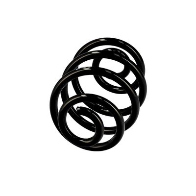 ARC SPIRAL EIBACH R10173 2