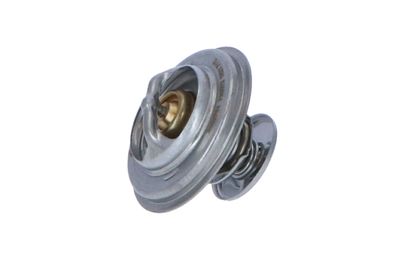 TERMOSTAT LICHID RACIRE NRF 725073 14