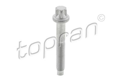 Śruba, wtryskiwacz TOPRAN 306289