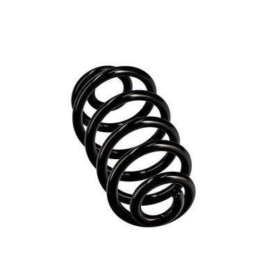 ARC SPIRAL EIBACH R10114 24