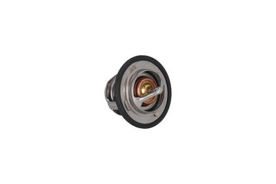 TERMOSTAT LICHID RACIRE