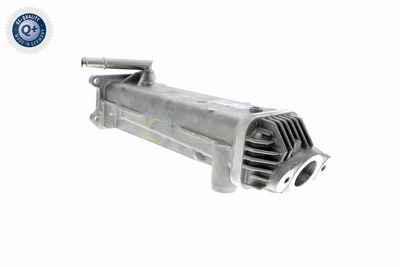 AGR-VENTIL VEMO V95630011 7