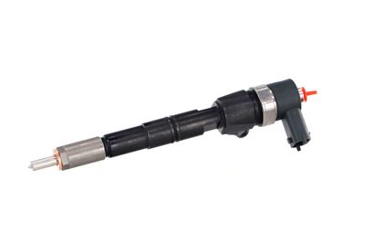 INJECTOR REMANTE 002003001391R 8