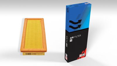 LUFTFILTER CHAMPION CAF100929P 1