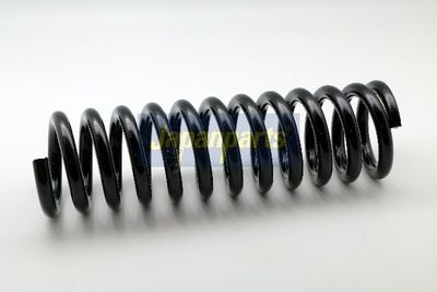 пружина за ходовата част JAPANPARTS ZC1443D