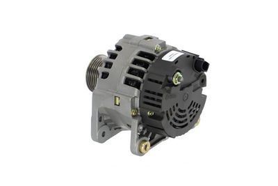 GENERATOR / ALTERNATOR REMANTE 011003000541R 21