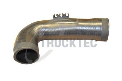 FURTUN EAR SUPRAALIMENTARE