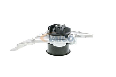 WASSERPUMPE MOTORKüHLUNG VAICO V1050087 58