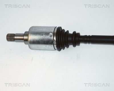 PLANETARA TRISCAN 854028589 1