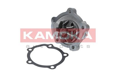 Water Pump, engine cooling T0126