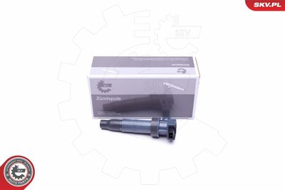 Ignition Coil 03SKV313