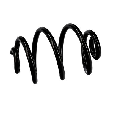 ARC SPIRAL EIBACH R10088 6