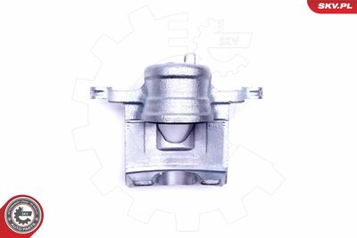 Brake Caliper 46SKV222