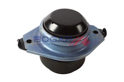 BOGAP Variklio montavimas