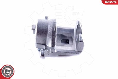 Brake Caliper 55SKV061