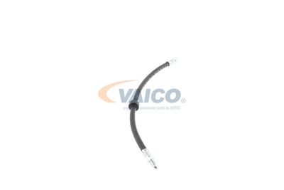 FURTUN FRANA VAICO V460285 48
