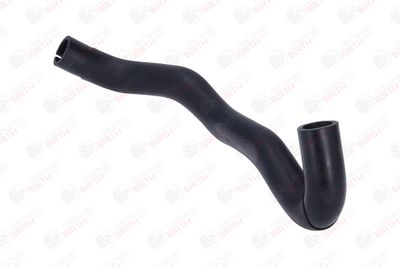 FURTUN ULEI BIRTH 56020 9