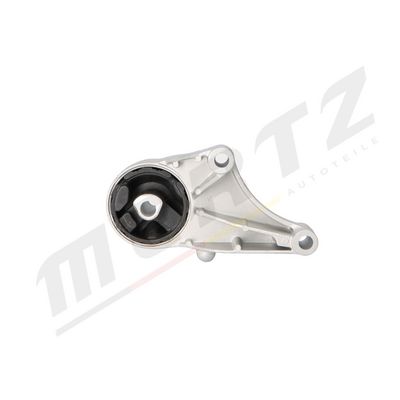 variklio montavimas M-S5335 MERTZ