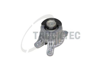 TRUCKTEC AUTOMOTIVE Variklio montavimas