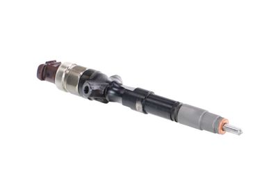 INJECTOR REMANTE 002003002047R 48