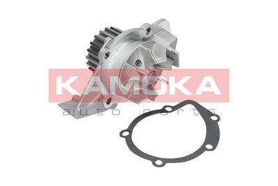 Water Pump, engine cooling T0086
