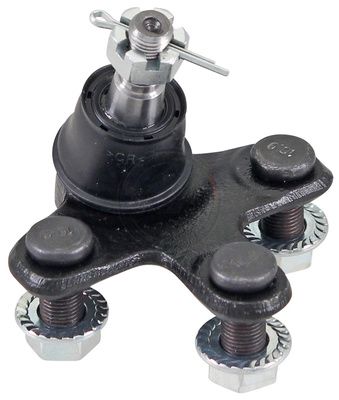 Šarnyras / girgždukas