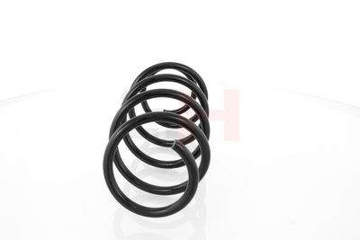 ARC SPIRAL GH GH204305 17