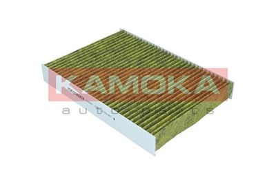 Filter, cabin air 6080067