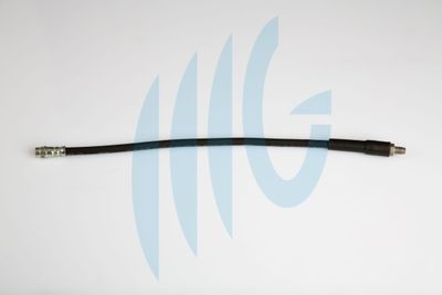 Тормозной шланг RICAMBIFLEX GM 02440583 для ALPINE V6
