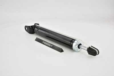 AMORTIZOR FEBEST 20110002R 9