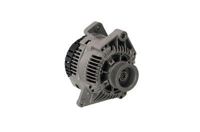GENERATOR / ALTERNATOR REMANTE 011003000424R 49