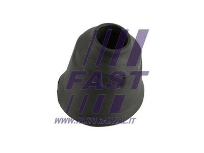 FAST FT95656 FAST FT95656
