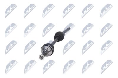 PLANETARA NTY NPWCT081 17