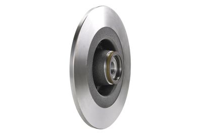 DISC FRANA BOSCH 0986479274 13