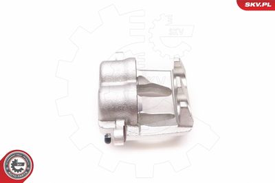 Brake Caliper 23SKV901