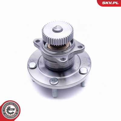 SET RULMENT ROATA ESEN SKV 29SKV232 1