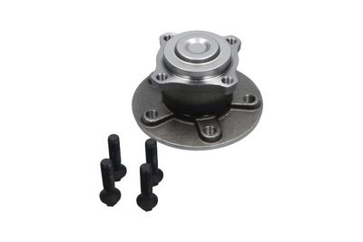 Kavo Parts Rato guolio komplektas