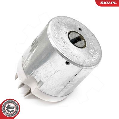 Zünd-/Startschalter