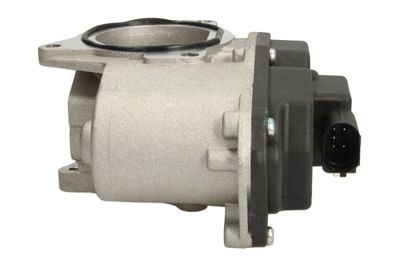 EGR Valve ENT500025