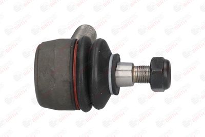 CAP DE BARA BIRTH TS0282 10