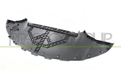 ACOPERIRE SPOILER FATA