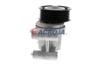 INTINZATOR CUREA CUREA DISTRIBUTIE ACKOJA A320602 25