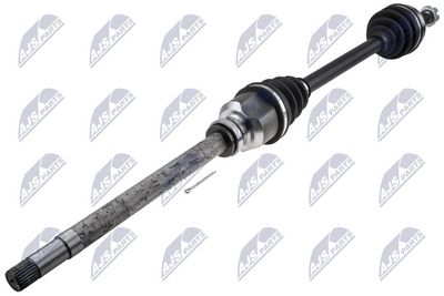 PLANETARA NTY NPWPE124 1